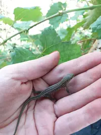 20180918_123919-2322x3096.webp