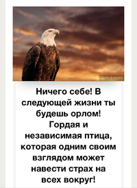 FBF67798-D06D-4D94-B630-7234F874DE71.webp FBF67798-D06D-4D94-B630-7234F874DE71.webp