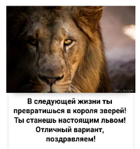 Screenshot_20180919-133730_20180919133805523.webp Screenshot_20180919-133730_20180919133805523.webp