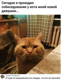21E21263-51F1-42BF-AE95-55D98B4B8E8B.webp
