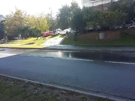 1537440347524-1153800710.webp