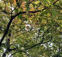 64D83491-53F9-4CB7-AF2A-828D00E1EC5A.webp