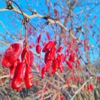 _20160310_084830.webp