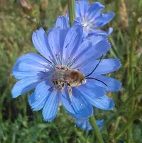 _20160627_071530.webp
