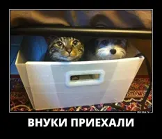 2.webp