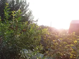 20180922_180742-3096x2322.webp
