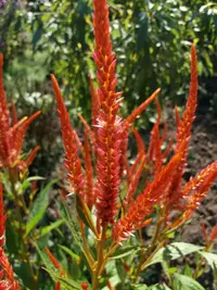 20180922_123326-2322x3096.webp