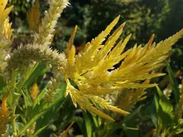 20180922_123451-3096x2322.webp