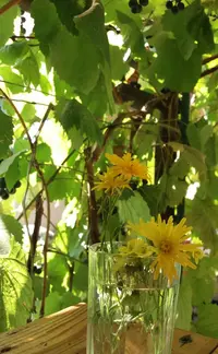 20180922_182147.webp