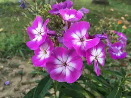 93063F60-1AC3-4B00-9999-717685860D59.webp