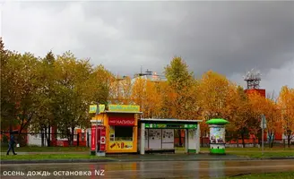 1fd723816c10.webp