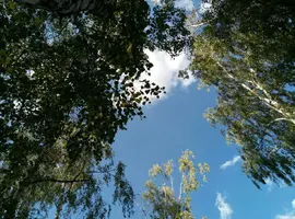 P80922-164123.webp
