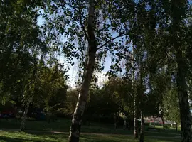 P80922-164132.webp