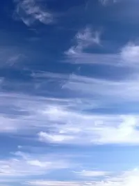 9c6PXi4zg4P34Lw.webp