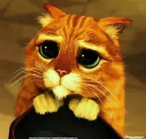 f635d3e82240a274202569e50cbe9ca5.webp