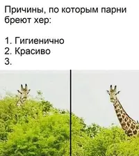 9798074A-F760-47E4-8B02-7C765D029A4C.webp