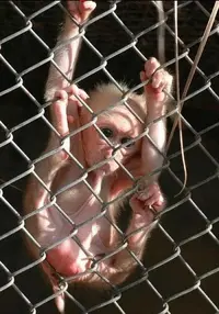 upload6380.webp