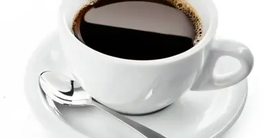 kava-1704.webp