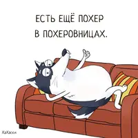 3FF4168F-4616-4FF6-9A9C-CED57D4F7634.webp