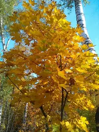 tmp-cam-827071603.webp