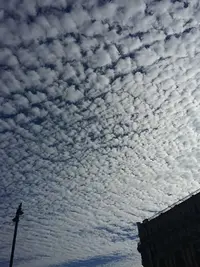 1538392708369-719781582.webp