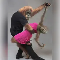 getImage (8).webp