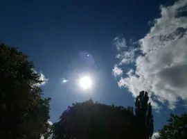 P80930-140820.webp