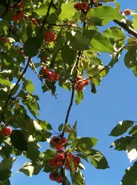P80930-140915.webp