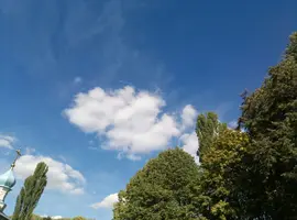 P80930-140809.webp