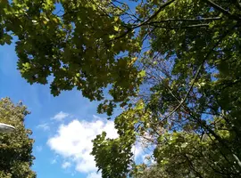 P80930-140735.webp