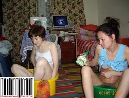 183979.webp