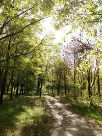 20181014_134136-2322x3096-1741x2321.webp