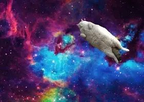 шшщ.webp