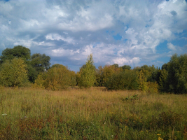 IMG-20151214-WA0037.webp