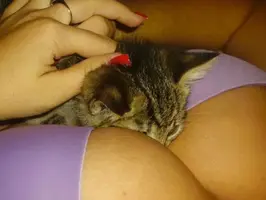 1300230978_motorboat_05.webp