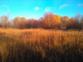 0b098bc0-f6c4-4fee-8493-a9e0b924f280.webp