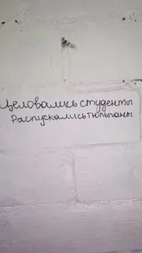 t65y0A9WkGI.webp