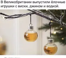 42590C3A-4C8E-4936-A323-8A80E619251E.webp