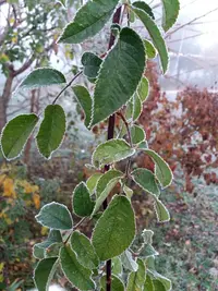 20181109_080157-2322x3096.webp