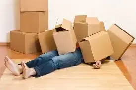 91305C86-D8D7-4A60-A237-530E12B01508.webp