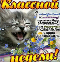 IMG_20181112_111019.webp