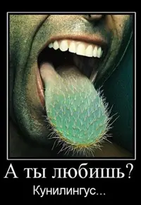 071dd720592a3762fb1f452675da300f_i-170~01.webp