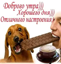 kartinki_dobroe_utro32-1.webp