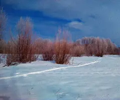 IMG-20160301-WA0037.webp