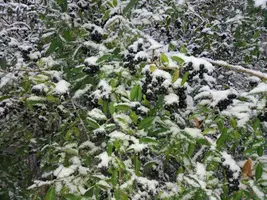 20181120_075511-3096x2322.webp