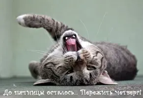 1_9191450.webp