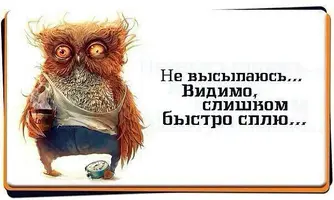 247255.webp