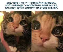 lNlVoUkuz9A.webp