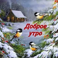 IMG-20181121-WA0000.webp