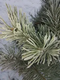 20181203_080702-2322x3096.webp
